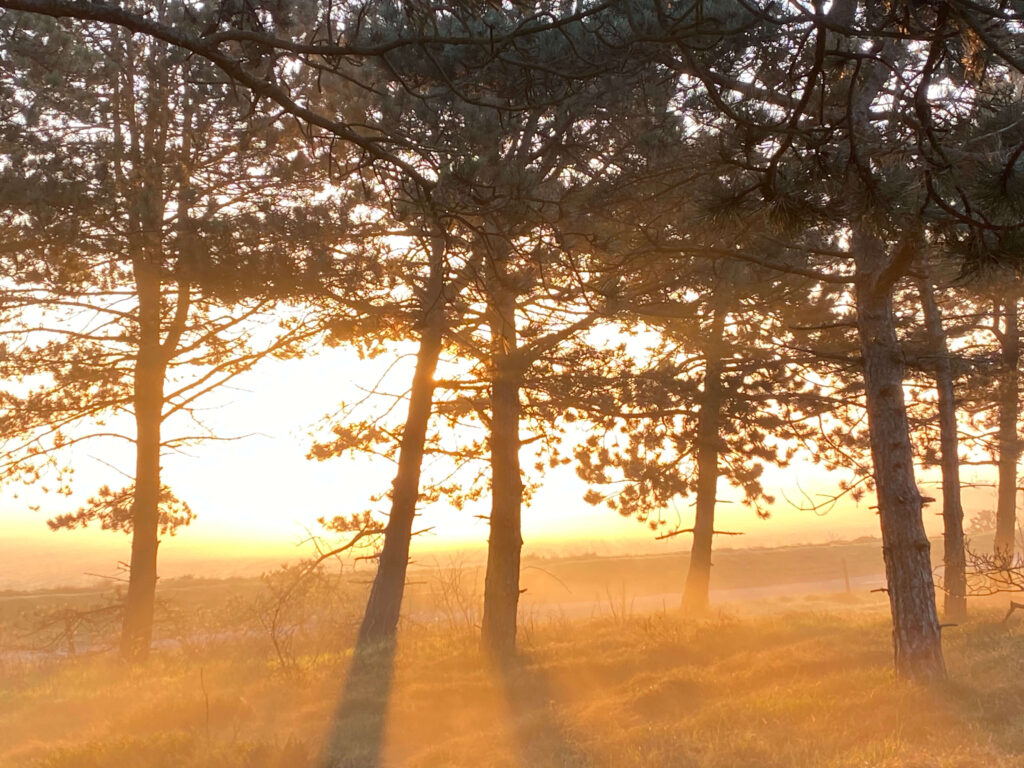 morning_sun